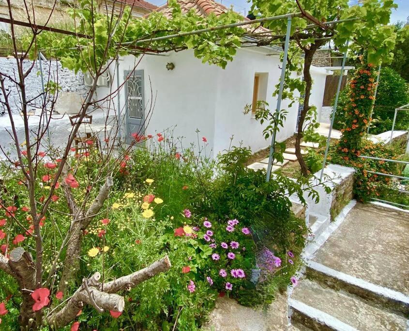Stylish Vathy Studio With Sea View Exteriér fotografie